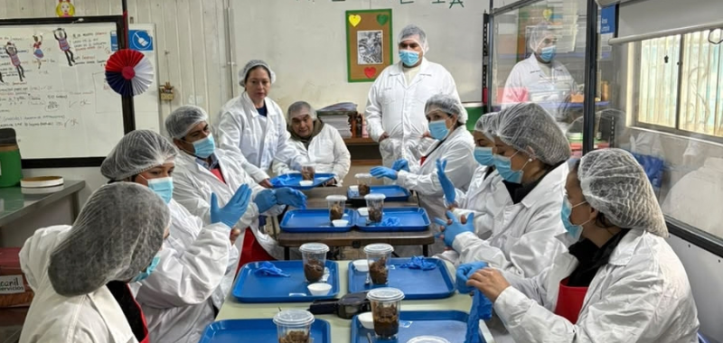 Arcos Dorados – McDonald´s participa en jornada de  Voluntariado Corporativo de Coanil Servicios